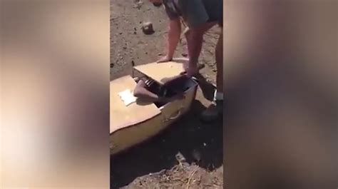 white south african filmed forcing black worker into a coffin and threatening to burn him