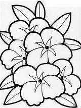 Coloring Flower Hibiscus Popular sketch template