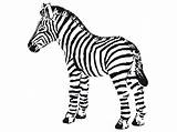 Zebra Coloring Pages Baby Cute Zebras Printable Clipart Cartoon Cliparts Drawing Print Kid Color Getcolorings Getdrawings Clipartmag Face Library sketch template