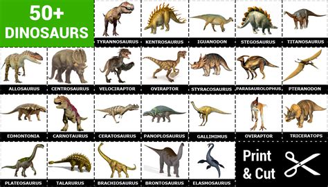 printable dinosaur king cards