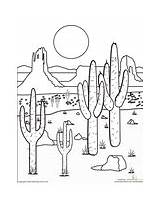 Coloring Deserts Desert Pages Scorching Beauty Trulyhandpicked Prints sketch template