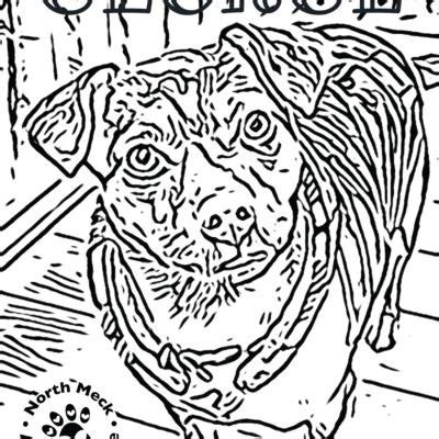 rescue dog coloring pages north meck animal rescue