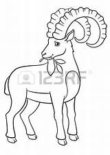Ibex Alpine Coloring Designlooter Horns Leaves Eat Cute Pages Great sketch template