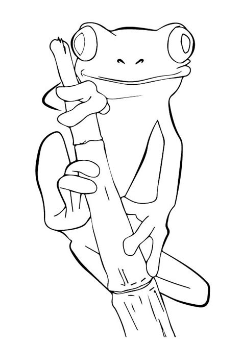 printable frog coloring pages frog coloring pictures