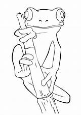 Frog Coloring Pages Cute Frogs Tree Drawings Print Drawing Coqui Printable Outline Kids Animal Animals Worksheets Color Pencil Sheets Dibujos sketch template