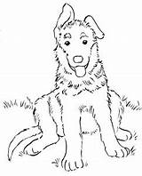 Coloring Pages Shepherd Puppy German Drawings Animals sketch template