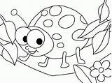 Ladybug Coloring Pages Bug Printable Colouring Ladybird Drawing Girl Lady Color Kids Lightning Print Toddlers Cute Getcolorings Getdrawings Animal Marvelous sketch template
