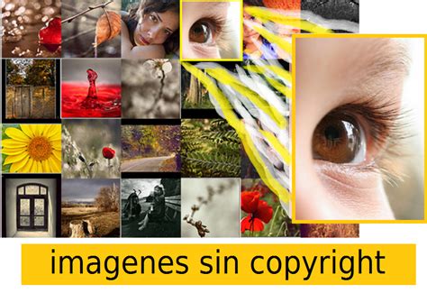 buscadores de imagenes sin copyright
