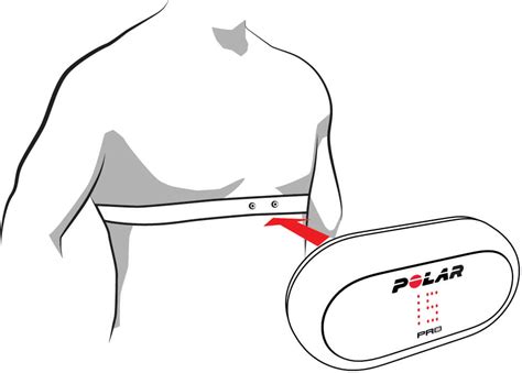 anlegen des polar pro sensors polar oesterreich