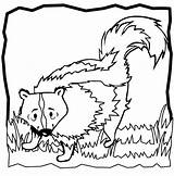 Skunk Coloring Pages Color Animals Print sketch template