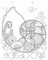 Coloring Nautilus Pages Shell Ocean Fish Mandala Printable Plants Fantasy Fibonacci Color Adults Adult Pt Google Designlooter Books Getdrawings Etsy sketch template