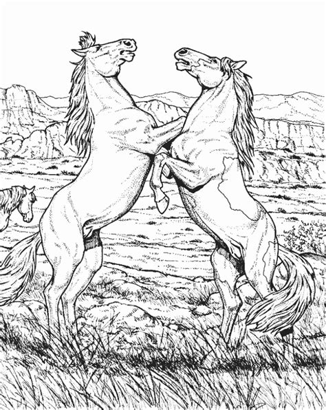 wild horse coloring pages wild horse animal coloring page