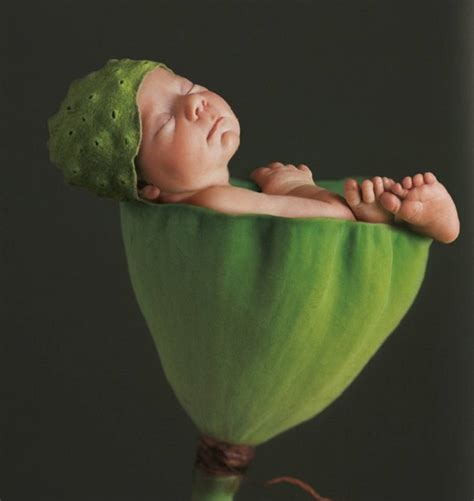 rare images anne geddes released    time nz herald