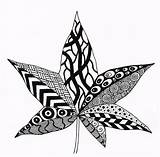 Zentangle Leaf Drawing Nancy Tellier Zentangles Pages Arte Autumn Getdrawings Coloring Fall Doodle Drawings Illustrations Simple Different Choose Board sketch template
