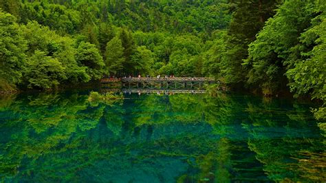 jiuzhaigou park china sichuan bridge nature lake