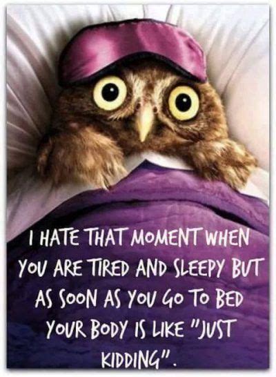 night owl  sweet dreams funny good night quotes  sleep quotes funny sleep quotes funny