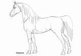 Shire Horse Coloring Pages Printable Arabian Kids Getcolorings Getdrawings Mare Lineart sketch template