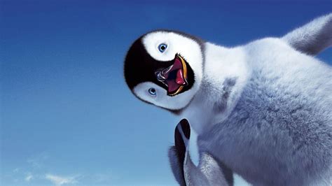 cute penguin backgrounds  pictures