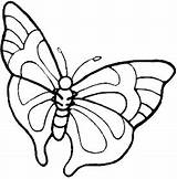 Mariposas Colorear Chachipedia sketch template