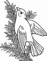 Coloring Book Pages Birds Goldfinch Willow Finch Animals American Colouring Bird Education Yellow Clipart Online Gold Kids Domain Public Wpclipart sketch template