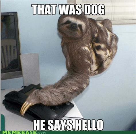 Yes This Is Sloth Memebase Funny Memes