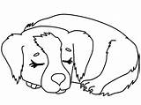Coloring Puppy Pages Sleeping sketch template