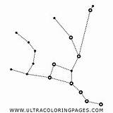 Constellation Orsa sketch template