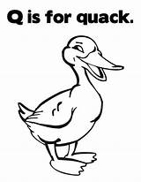 Quack Bulkcolor sketch template