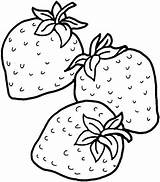 Strawberry sketch template