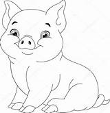 Pig Coloring Illustration Vector Depositphotos sketch template