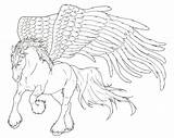 Pegasus Coloring Lineart Ausmalbild Pferde Kostenlos Drafthorse Malvorlagen sketch template
