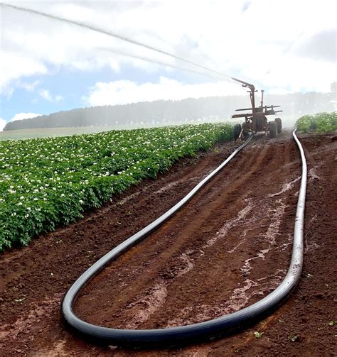 flexidrag irrigation hose  metre irrigation direct