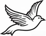 Doves Funeral Pigeons Roman Clipartspub sketch template