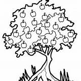 Banyan Tree Clipartmag Drawing sketch template