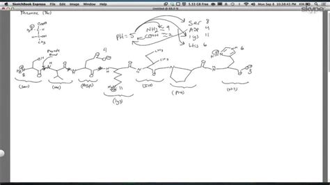 biochemistry protein structure  youtube