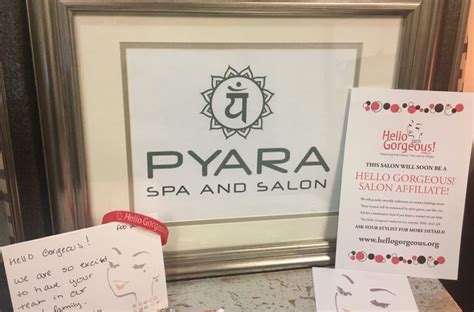 gorgeous pyara spa  salon team  northshore magazine