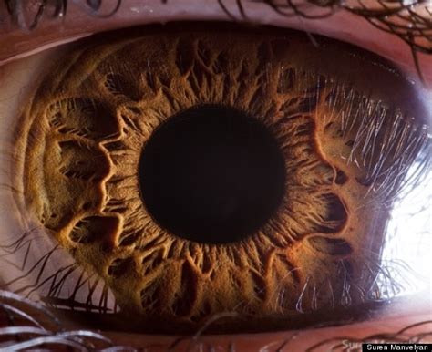 Eye Photos By Suren Manvelyan Reveal The Surprising Details Of The