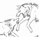 Fighting Wolves Deviantart Poses Template Action Wolf Drawing Animal Reference Base Drawings Two Sketch Lineart Sketches Templates sketch template