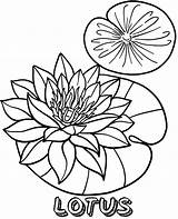 Lotus Coloring Flower Printable Pages Sheet Print Flowers sketch template