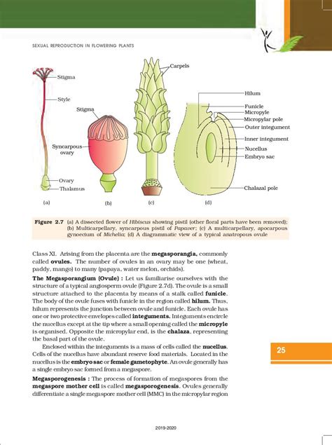 ncert book class 12 biology chapter 2 sexual reproduction