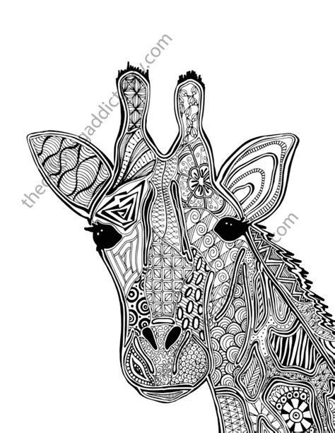 giraffe coloring page animal coloring page adult coloring page