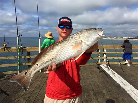 green bean with a barely legal red drum surf city ocean pier inc facebook
