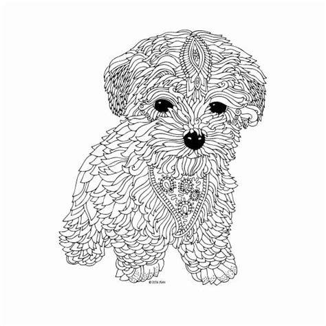hard animal coloring pages beautiful coloring pages  adults