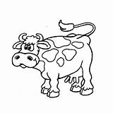 Koeien Kleurplaten sketch template
