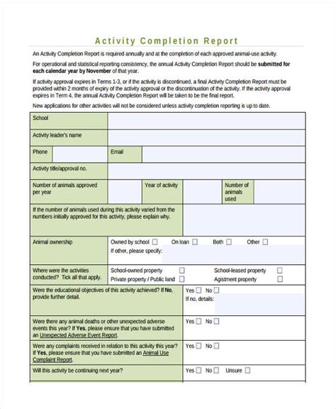 sample activity report  examples format  examples