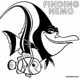 Nemo Finding Coloring Pages Color Getdrawings Drawing Colorings Print Gif sketch template
