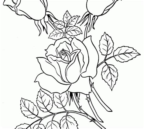 ideas  coloring guns  roses coloring pages