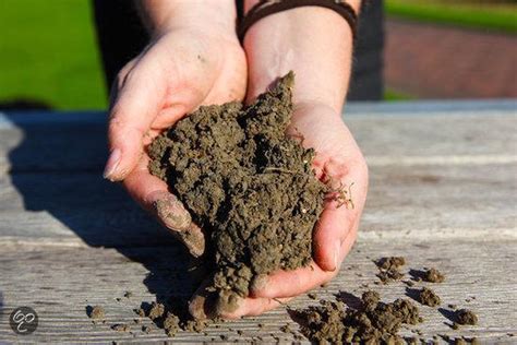ecostyle zandgrond verbeteraar  kg voor   bolcom