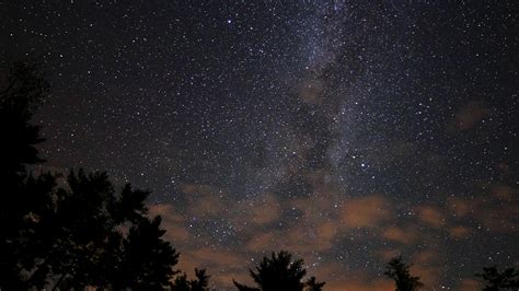 Nc77 Night Sky Stars Milkyway Wood Nature Dark Wallpaper