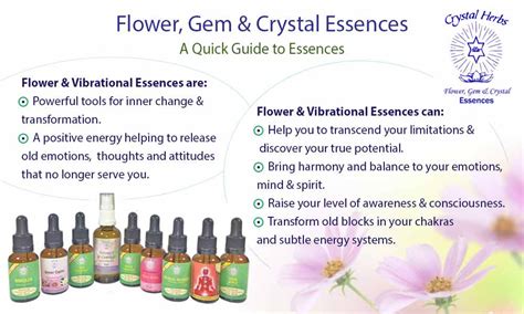 Flower Essences All About Flower And Vibrational Essences